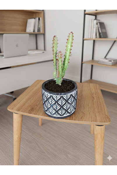 Yades Euphorbia Trigona Süt Ağacı Kaktüs - Desenli El Yapımı Beton Saksıda Ca...