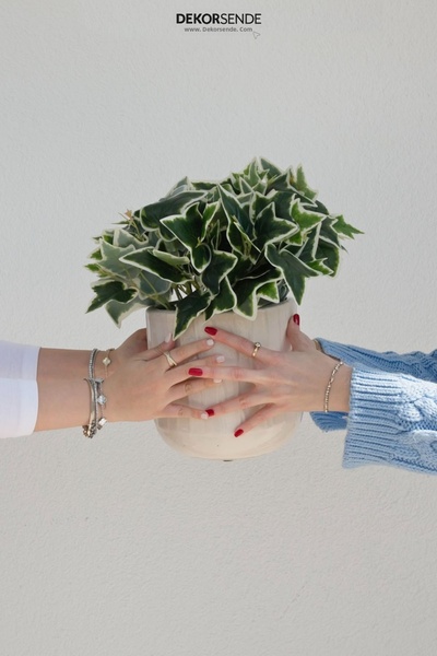 Dekorsende Τεχνητό σύστατο χλιάδας πράσινο λευκό 34 εκ