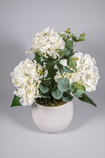 Hydrangea Eucalyptus Flower in White Concrete Flower Pot