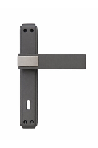 Sofuoğlu Λαβή Πόρτας Δωματίου Asude με Καθρέφτη Διπλού Χρώματος Ανθρακί/Σατέν