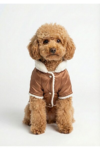MPZ Pets Cat and Dog Clothing & Dress & Jacket & Vest - Brown Fur Jacket