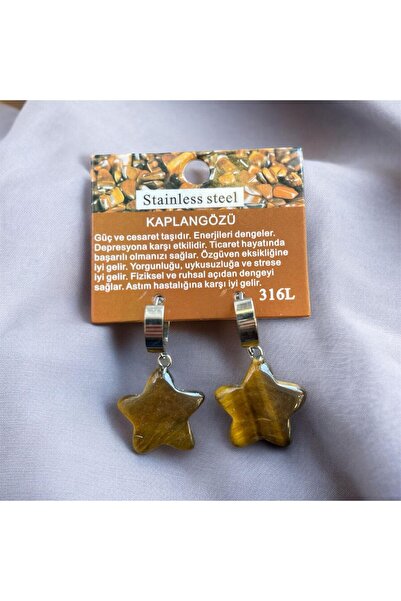 AURA STONE Aurastone Tiger's Eye Natural Stone Earrings with Steel Apparatus