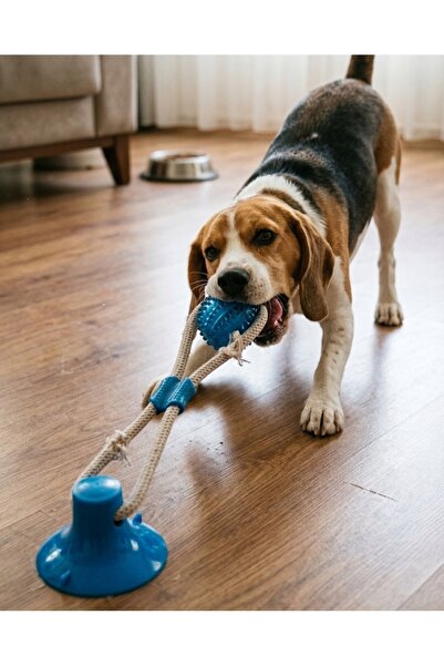 Genel Markalar Köpek Oyuncağı Vantuzlu Top