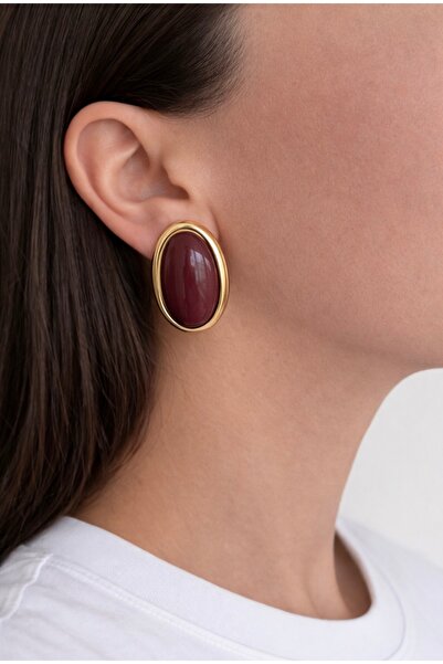 Lisse.co Plum Brown Gold Oval Frame Vintage Steel Earrings