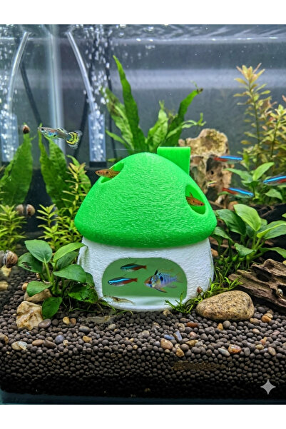 3D Tasarım Yeşil Beyaz Mantar Ev - Akvaryum İçi Estetik Dekorasyon (8x8 cm) S...