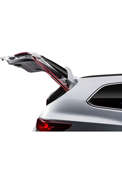 Panther Automotive Gen-Uine Liftgate Lift Support Struts - Compatible for For...
