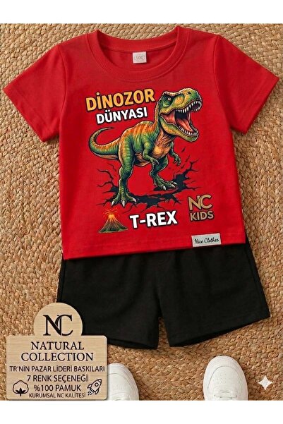 Nice Clothes Tricou și pantaloni scurți de vară pentru copii, unisex (imprime...