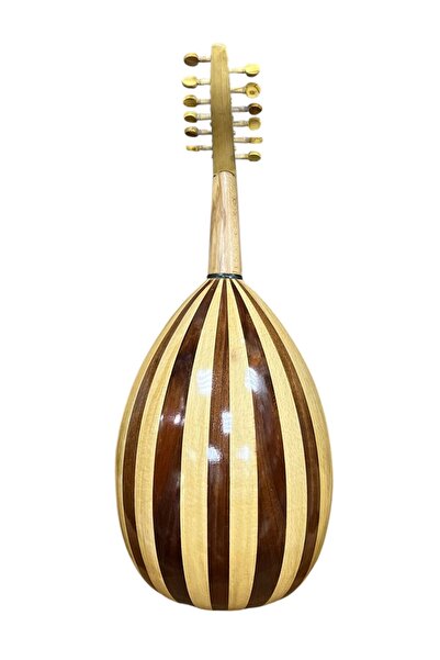Oud آلة عودصناعة مصرية مع حقيبة الصانع عود الربيع 3 رقم الموديل HAO00957