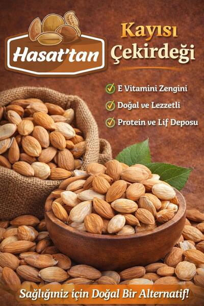 HASATTAN KAYISI ÇEKİRDEĞİ SARI NATUREL TUZSUZ 500 GR