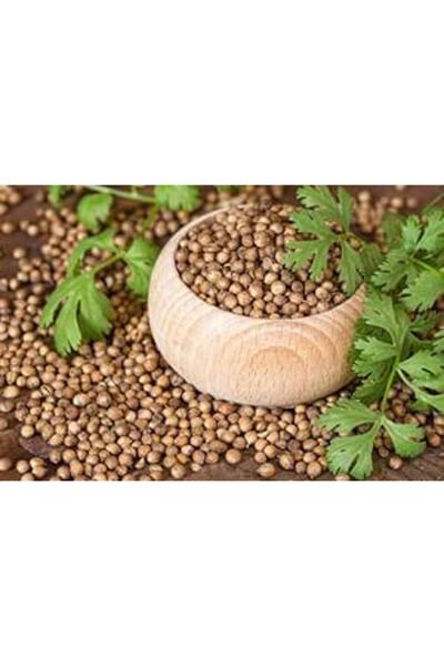 Bathurat Treated Coriander Seeds (20g) - Ensures Highest Germination and Prot...