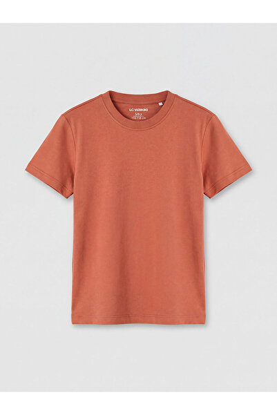 LC Waikiki Lcw Kids Brown Crew Neck Boys' T-Shirt