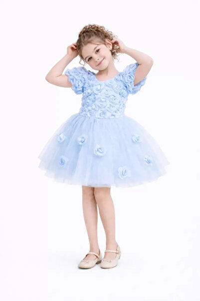 diamondstar Φόρεμα για κορίτσια με τριαντάφυλλα για πάρτι, γενέθλια και επίδε...