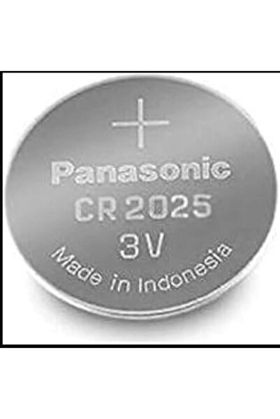 CAR Panasonic 2025 Battery Stone