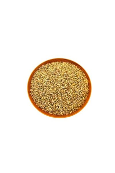 Z-CUP Cactus Prickly Pear Seeds Weigh 125 Grams Minimum