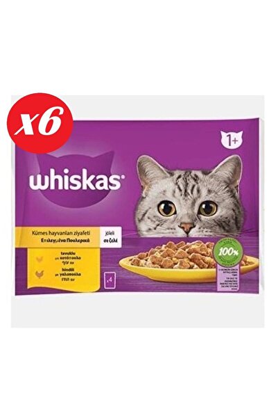Whiskas Tavuklu ve Hindili Yet. Kedi Maması 4x85Gr Set 6'lı