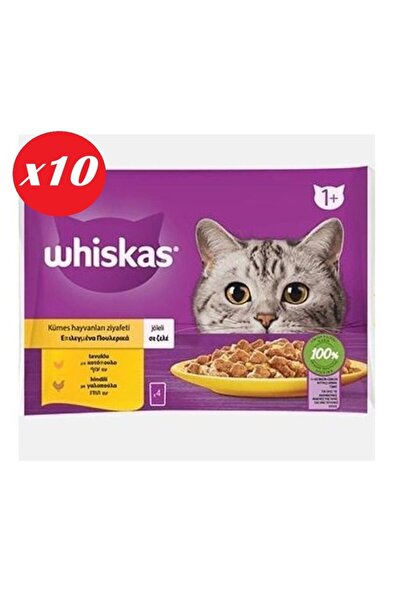Whiskas Tavuklu ve Hindili Yet. Kedi Maması 4x85Gr Set 10'lu