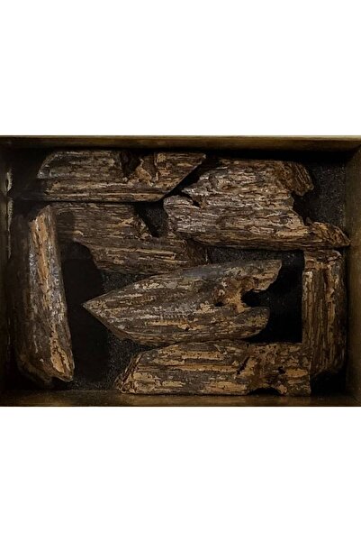 AL SAFWA Oud Laosi Super - 12g Resin