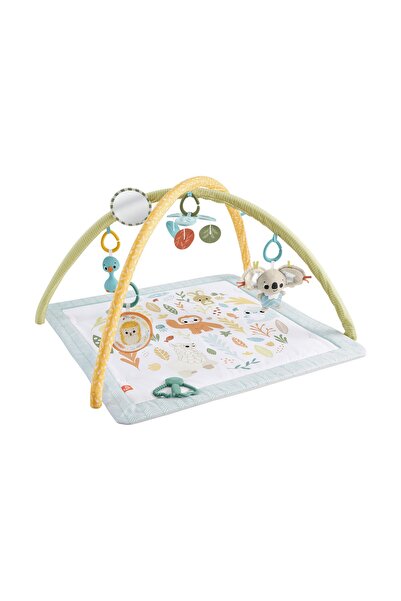 mattel Fisher-Price Simple Senses Saltea de activități pentru nou-născuți (JM...