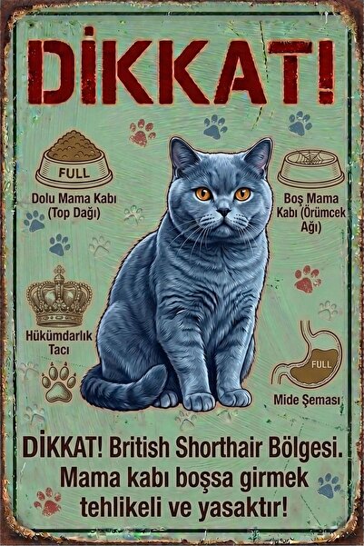 Iron Paws British Shorthair (Asil Bekçi) Uyarı Levhası - Paslanmaz Metal Görü...