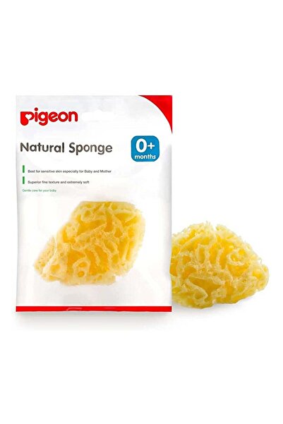 Pigeon إسفنجة طبيعية كبيرة