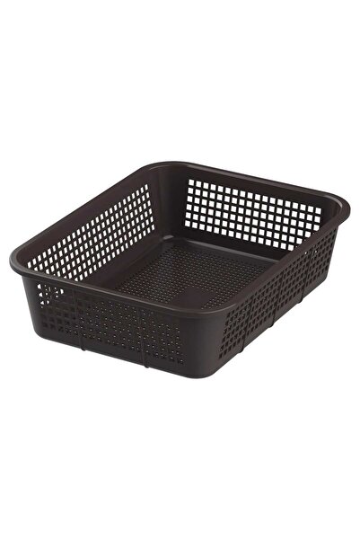 Cosmoplast Fruit Tray, Medium, Assorted