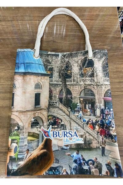 desio BURSA KOZAHAN DESENLİ OMUZ ÇANTASI