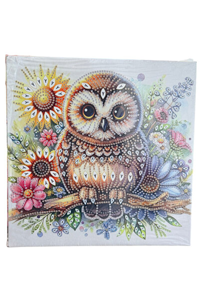 Krista Tablou YY91, Bufnita, με Διαμάντια, με μερική γέμιση, με πλαίσιο, 25x2...