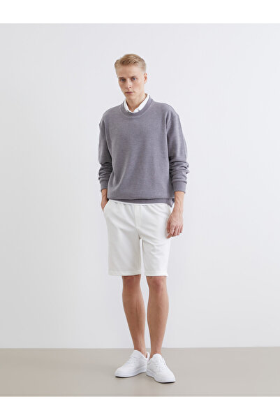 LC Waikiki Standard Fit Men's Shorts