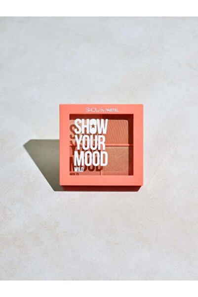Pastel باليت بلاشر شو يور مود من باستل - 17.35جرام | 442 DREAMY