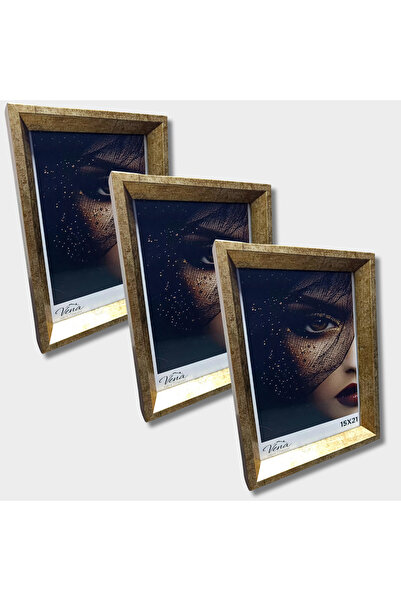 VenaHomeConcept 3’lü 15x21 Altın Çerçeve Seti – Camlı Dekoratif Fotoğraf Çerç...