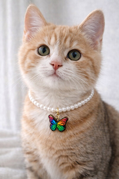 HALHALMILL Butterfly and pearl design cat necklace