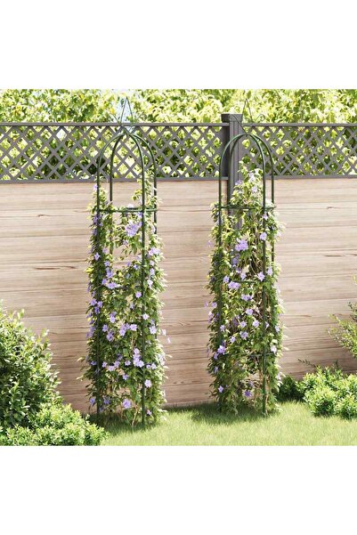 vidaxl Αψίδα Κήπου/Στήριγμα για Αναρριχώμενα Φυτά