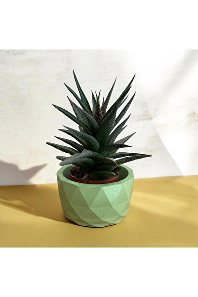 petalunadesign Petaluna Geometrik Orta boy Simli Yeşil Beton Saksı