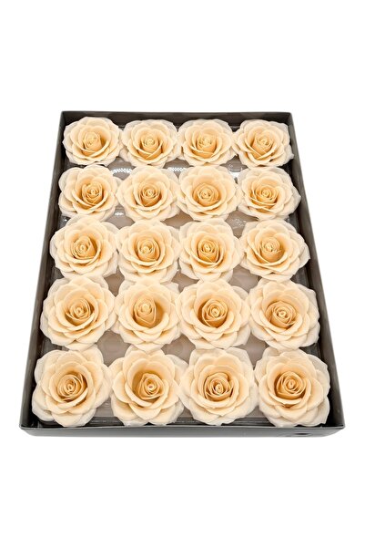AFO Σετ 20 Τριαντάφυλλα Σαπούνι Κρέμας Supreme