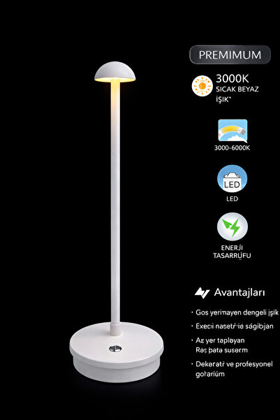 ACK Led Dokunmatik Metal Masa Lambası