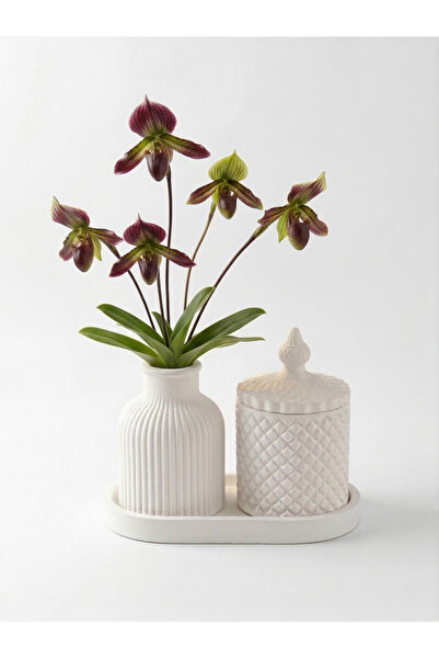 dekorasyonsepetim Set of 3 Plain Striped Pattern Vases, Presentation Tray, Ca...