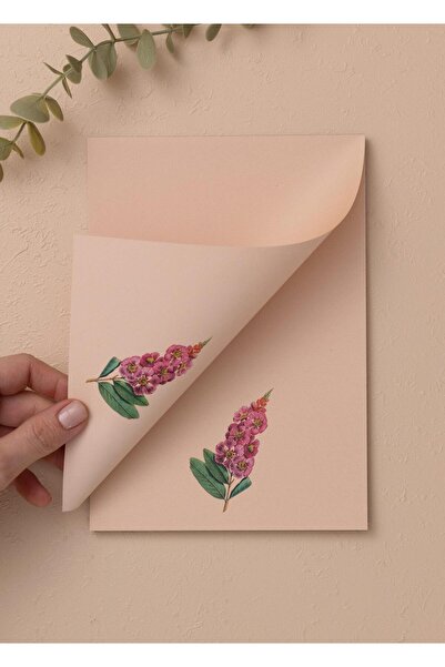The Mia حاملة ملاحظات صغيرة من آرت لاين بريود، 15 × 21 سم، 40 ورقة