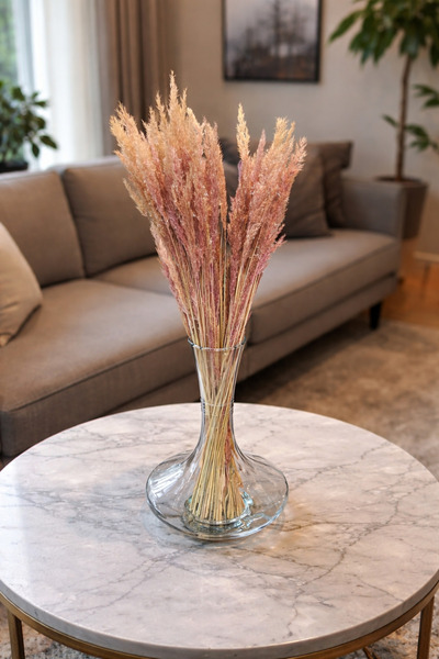 ÇINARASYADAHOME Mini Pampas Otu 30 Dal 50 cm Somon Renk Kuru Çiçek Demeti Dek...