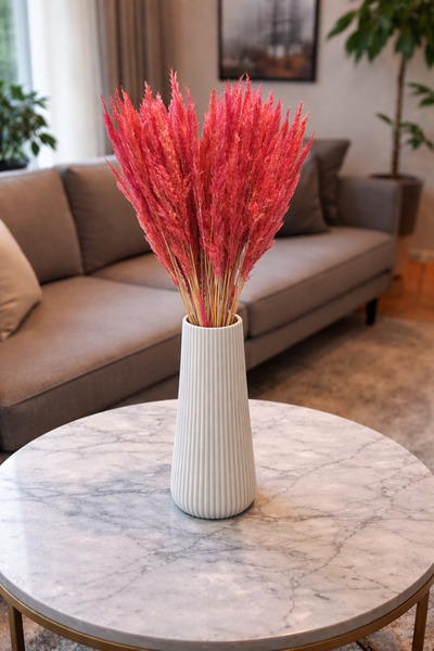 ÇINARASYADAHOME Mini Pampas Otu 30 Dal 50 cm Pembe Renk Kuru Çiçek Demeti Dek...