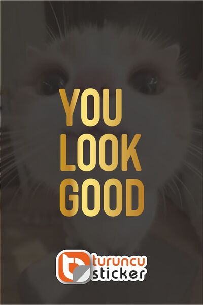 Turuncu Sticker ملصق YOU LOOK GOOD مقاس 10x15 سم للمرآة - الزجاج - السيارة - ...
