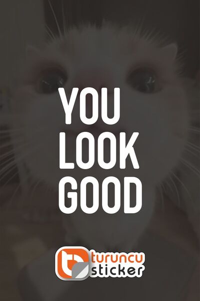 Turuncu Sticker You Look Good Sticker Label 10X15 cm Mirror - Glass – Vehicle...