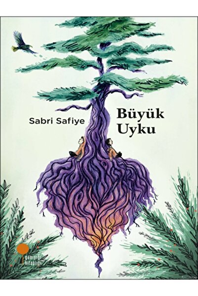Kronik Kitap Sabri Safiye - Büyük Uyku ( )
