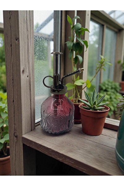 KACASTORE Glass Plant Watering Bottle -Burgundy– Glass Bottle with Spray (200...