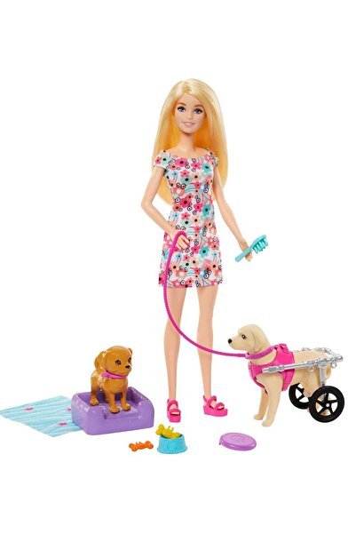 Barbie Ve Engelli Köpeği Oyun Seti - Standart