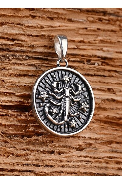 Ebrar Silver Gümüş Akrep Burç Kolye Ucu 925 Ayar Gümüş Unisex Akrep Burcu Fig...