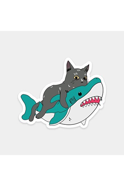 The Sticker Story. ملصق قطة راكبة على سمكة القرش
