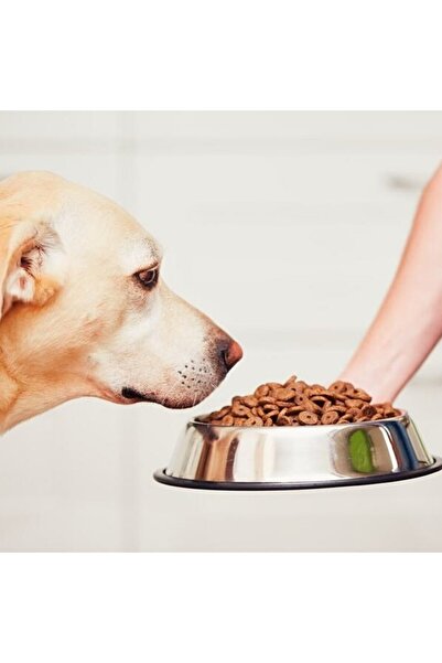 Avex Bol metalic pentru hrană animale de companie – 22cm