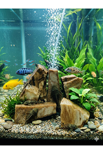Ecdconcept Akvaryum Sarı Kayrak Doğaltaş Kaya 5 Adet 5-15 cm Bahçe Peyzaj Dek...