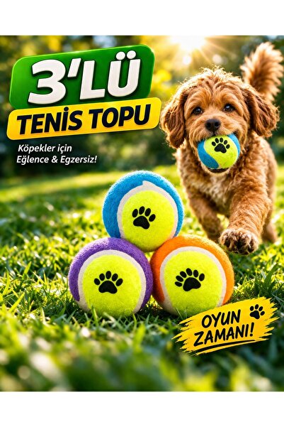 HAYHAYPETSHOP 3’lü Tenis Topu Köpek Oyuncağı Dayanıklı Isırmaya Uygun Zıplaya...