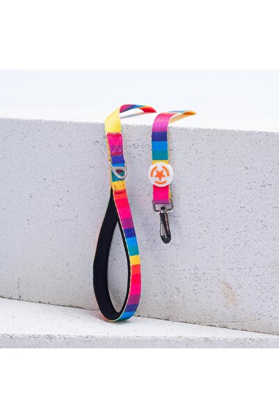Pawstar Rainbow Leash Gökkuşağı Desenli Kedi Köpek Sevk & Gezdirme Kayışı Köp...